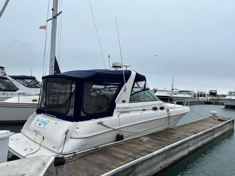 The Image of Sea Ray Sundancer 310 2001 - 0