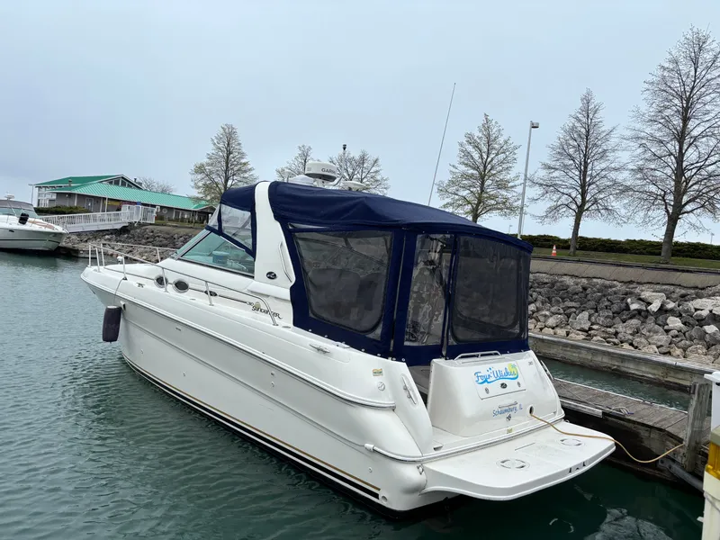 Slide: The Image of Sea Ray Sundancer 310 2001 - 2