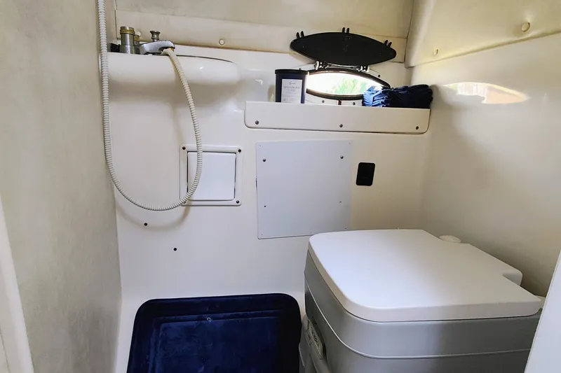Slide: The Image of 2001 Glastron GS 249 boat bathroom with compact toilet and shower setup. - 38
