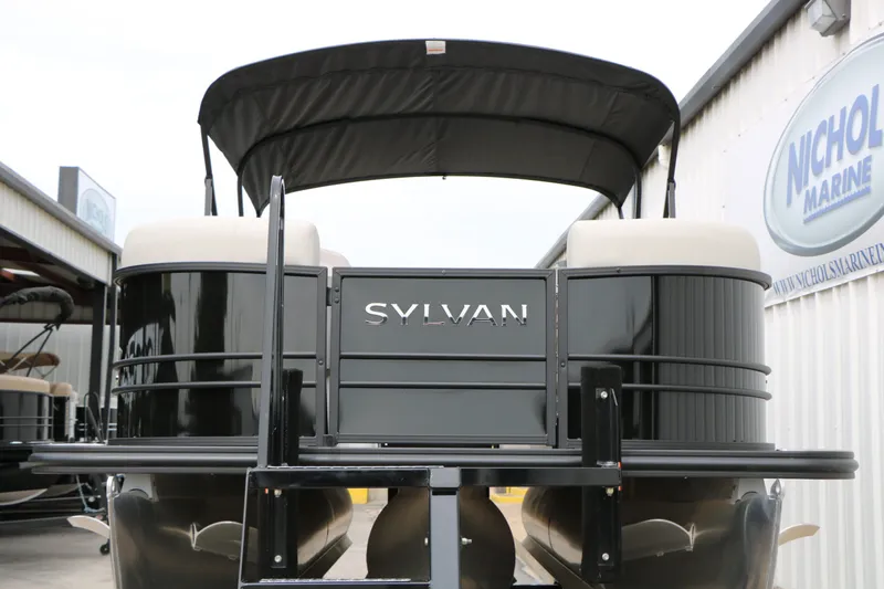Slide: The Image of Sylvan Mirage X1 2025 - 6