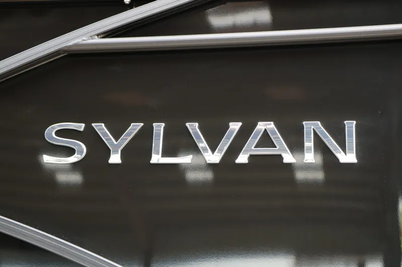 Slide: The Image of Sylvan Mirage X1 2025 - 7