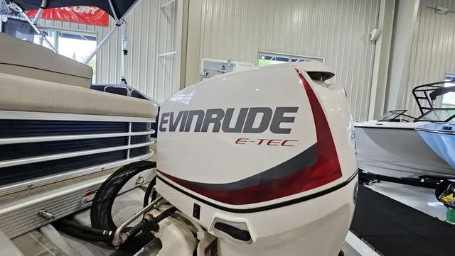 Slide: The Image of Bennington SX 21 Swingback 2019 - 18