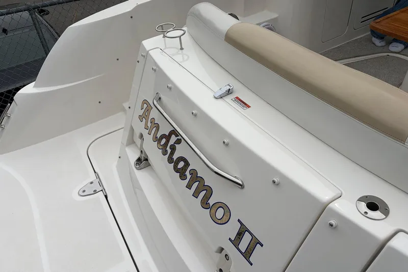 Slide: The Image of 2008 Sea Ray Sundancer 310 boat with "Andiamo II" name on the stern. - 8