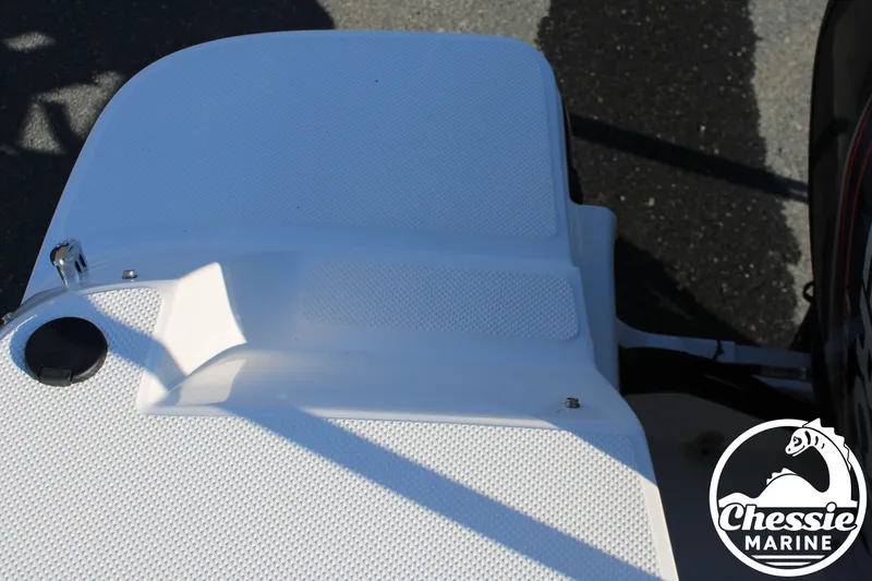 Slide: The Image of Bayliner 170 boat rear, 2015 model, Chessie Marine logo visible. - 21
