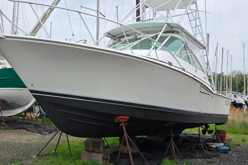 Slide: The Image of 1999 Cabo 35 Express boat on stands in a marina setting. - 6