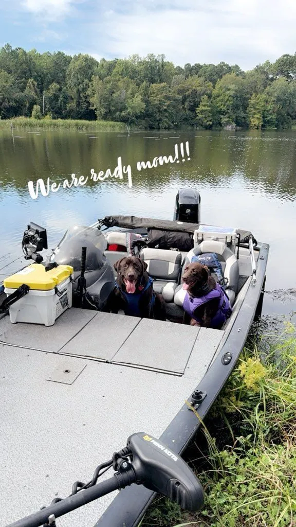 Slide: The Image of Two dogs on a Bass Tracker Pro Team boat, ready for adventure. - 12