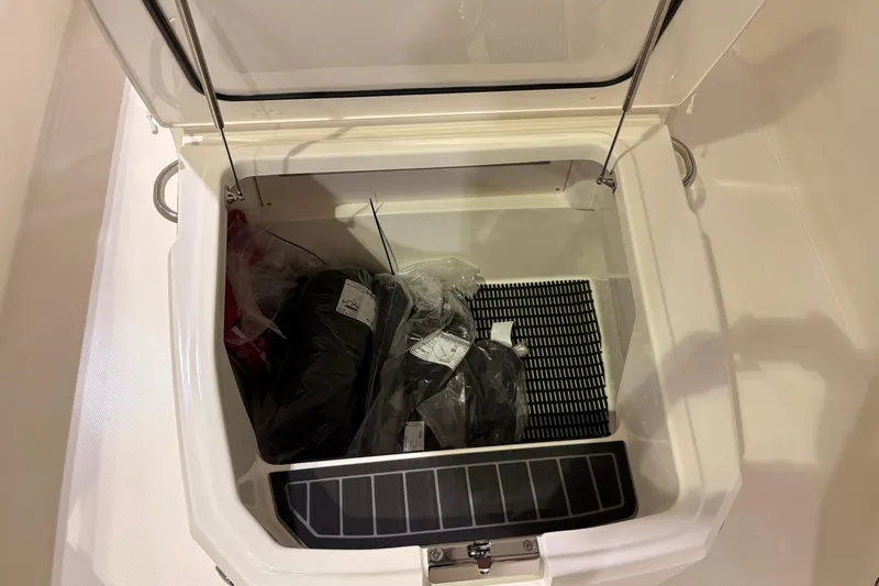 Slide: The Image of Storage compartment of 2026 Boston Whaler 250 Dauntless boat, containing packaged items. - 11