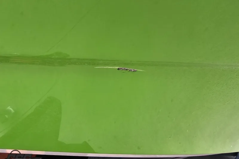 Slide: The Image of Close-up of a scratch on a 2022 Yamaha Boats AR195 green hull. - 20
