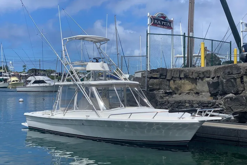 The Image of 2006 Strike 29 CC boat docked at marina under clear blue sky. - 1
