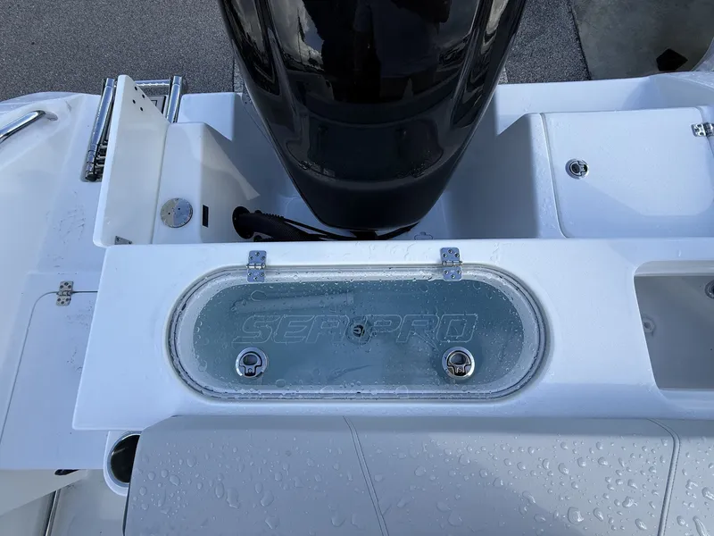 Slide: The Image of Sea Pro 242 boat with Zipwakes, rear detail view. - 13