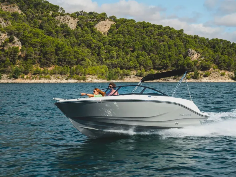 The Image of Bayliner V20i 2026 cruising on water with lush green coastline. - 1