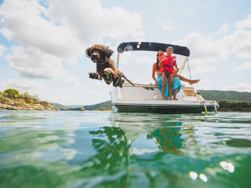 Slide: The Image of Dog jumps off Bayliner V20i boat into water, 2026 model. - 9
