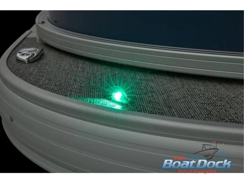 Slide: The Image of Bass Buggy 18 DLX 2026 - 50