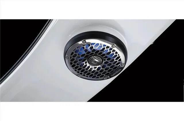 Slide: The Image of Bennington 25 Q FASTBACK 2024 - 8