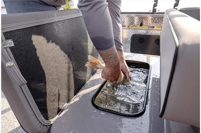 Slide: The Image of Angler Qwest Pontoons AQ 8524 PRO TROLL 2023 - 11