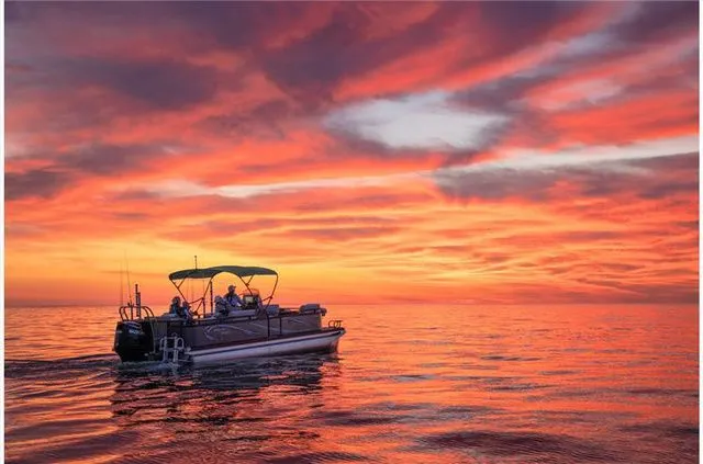 Slide: The Image of Angler Qwest Pontoons 8524 ALL SPORT 2023 - 6