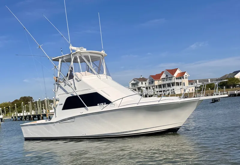 The Image of Cabo 35 Flybridge Sportfisher 2005 - 0