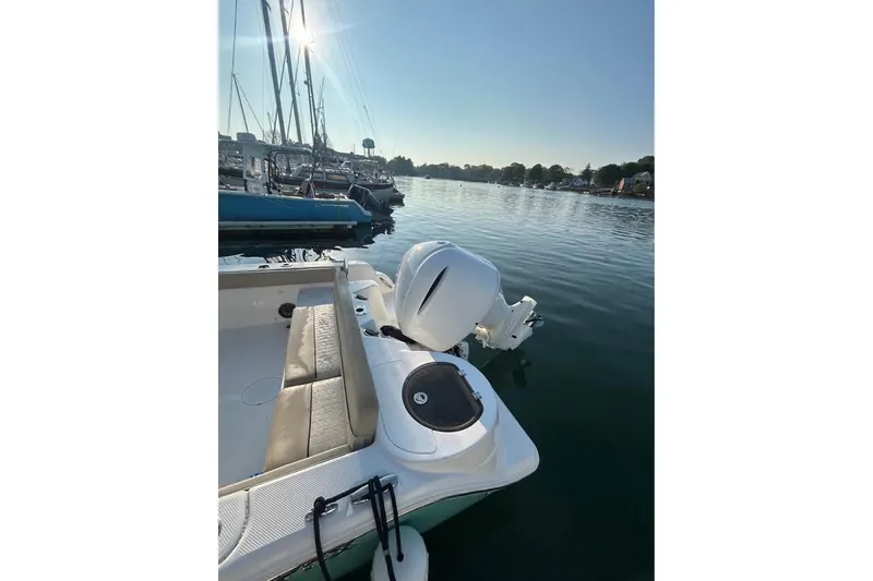 Slide: The Image of 2018 Sea Fox 249 Avenger boat docked in a serene marina setting. - 8