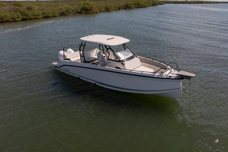 Slide: The Image of 2027 Navan T30 boat cruising on calm water, surrounded by lush greenery. - 8