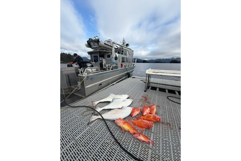 Slide: The Image of 2007 Armstrong Marine 36 Catamaran with fresh catch on deck, scenic water backdrop. - 38