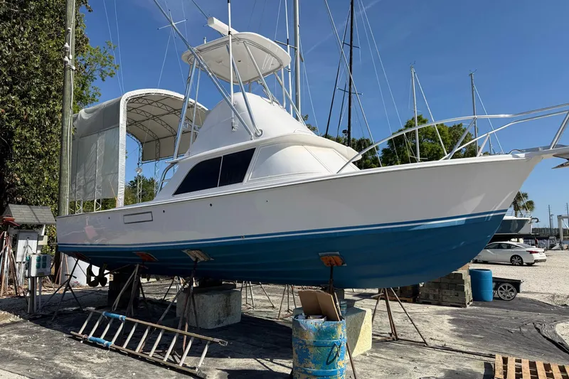 Slide: The Image of 1977 Bertram 31 Flybridge Cruiser on dry dock, white and blue hull, sunny day. - 4