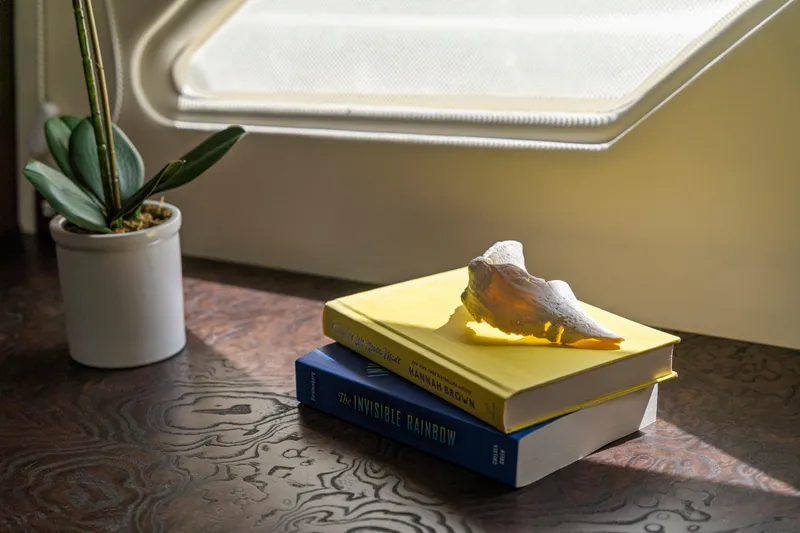 Slide: The Image of Potted plant and books on a wooden table inside a 2007 Marquis 55 LS yacht. - 65