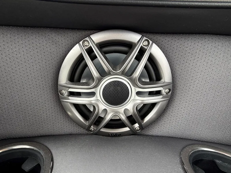 Slide: The Image of Speaker in Viaggio Lago V 20C, model year 2026. - 29