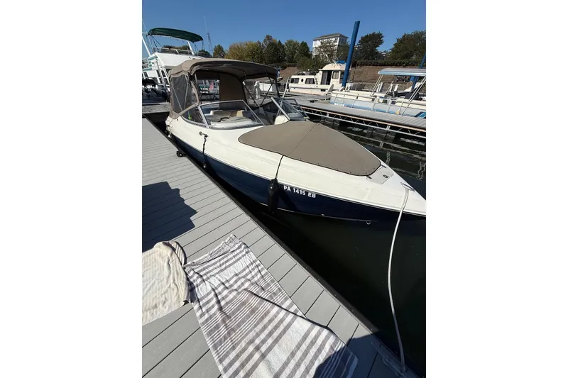 Slide: The Image of 2014 Stingray 250 LR boat docked at marina with striped towel on pier. - 3