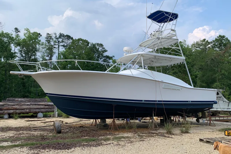 The Image of Luhrs 38 Open 1996 - undefined