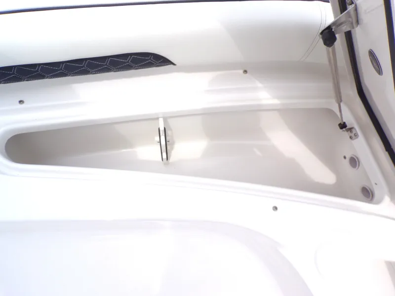 Slide: The Image of Interior of the 2026 Tidewater 2500 Carolina Bay boat. - 30