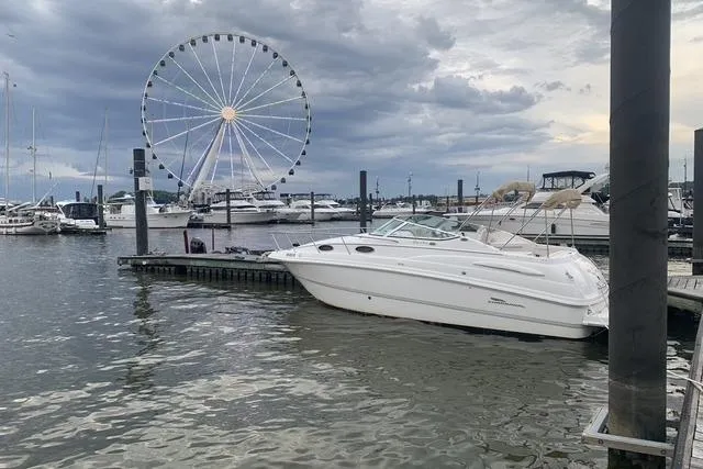 The Image of Chaparral Signature 260 boat docked at marina with Ferris wheel in background, cloudy sky. - 0