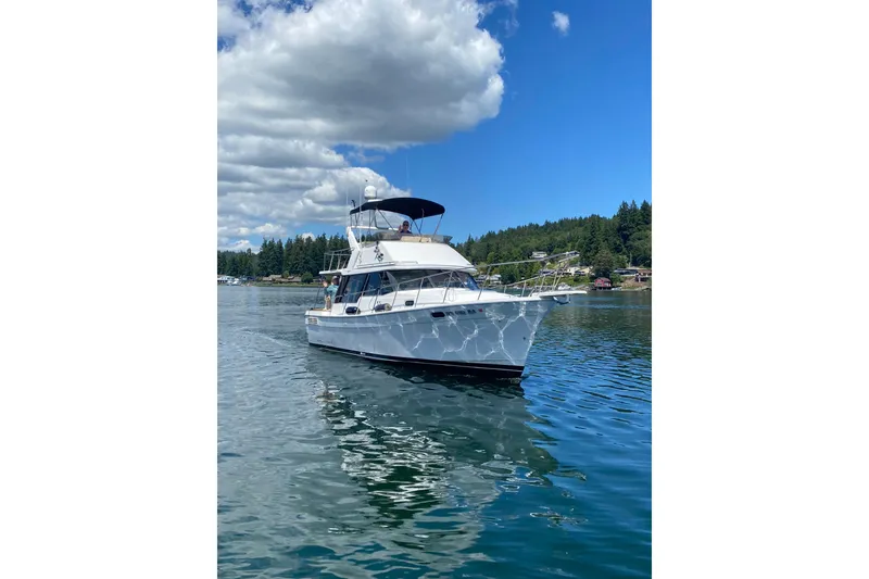 The Image of Bayliner 3288 Motoryacht 1991 cruising on a serene lake under a blue sky. - 0