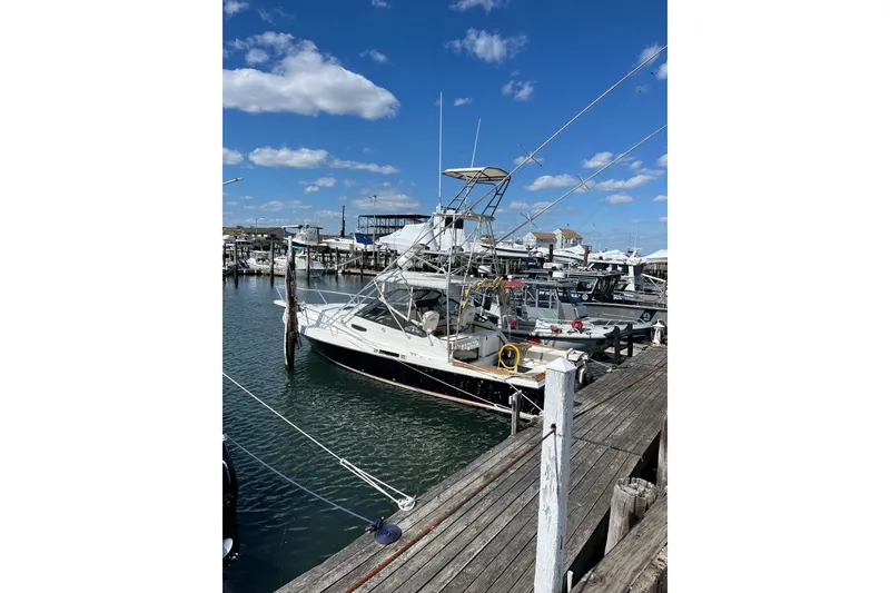 The Image of 1989 Blackfin 31 Combi boat docked at marina under clear blue sky. - 0