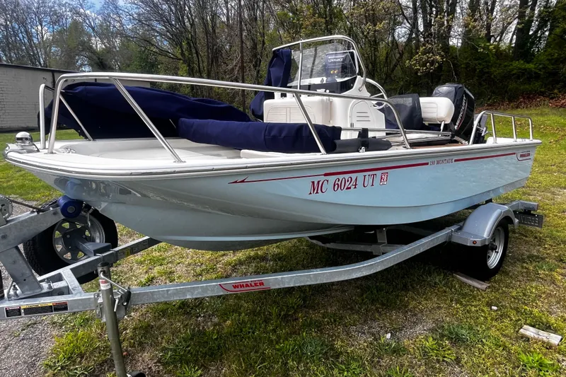 The Image of 2022 Boston Whaler 150 Montauk boat on trailer, parked on grass. - 0
