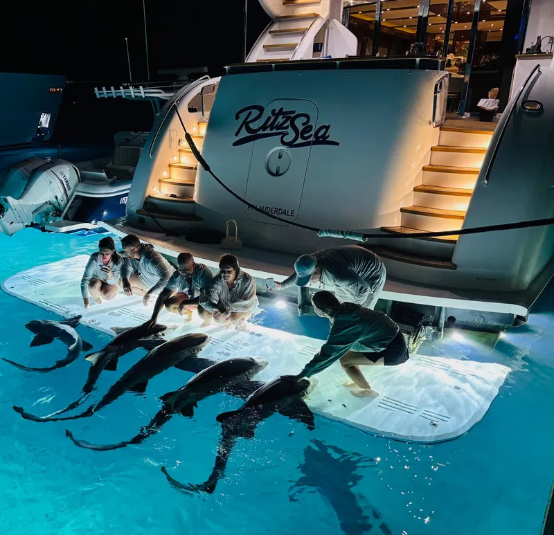Slide: The Image of People interacting with dolphins at night on a 2014 Hatteras 80 Motor Yacht Sky Lounge. - 2