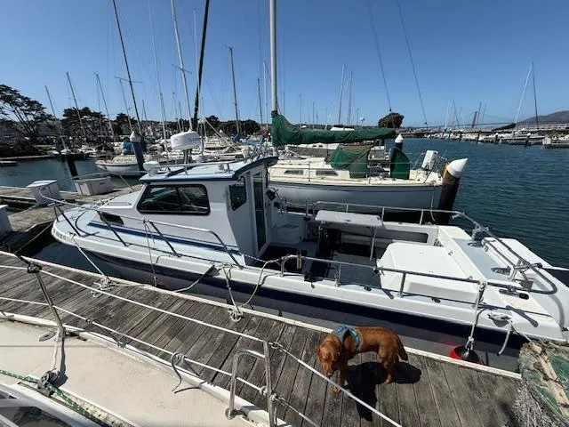 Slide: The Image of Radon Signature 26 boat docked at marina with a dog on the pier, 2007 model. - 3