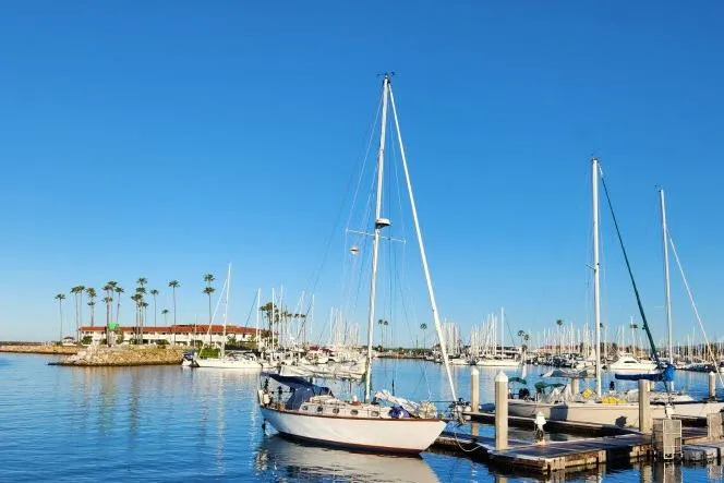 Slide: The Image of 1982 Cape Dory 36 sailboat docked in a sunny marina with palm trees. - 54