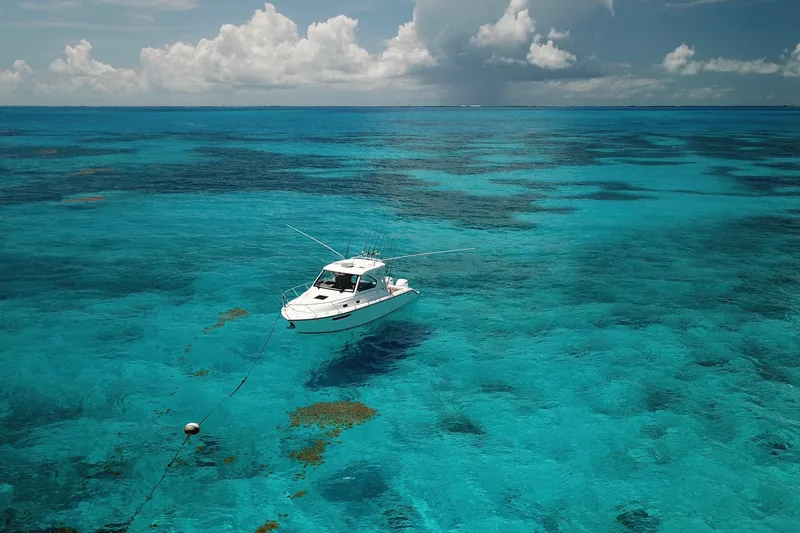 Slide: The Image of 2018 Pursuit OS 325 Offshore boat anchored in clear turquoise ocean waters. - 11