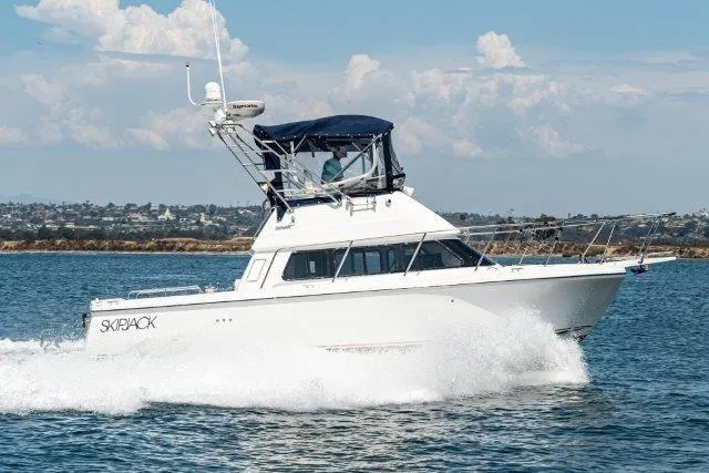 Slide: The Image of 2011 Skipjack 300 Flybridge cruising on open water under a clear sky. - 10