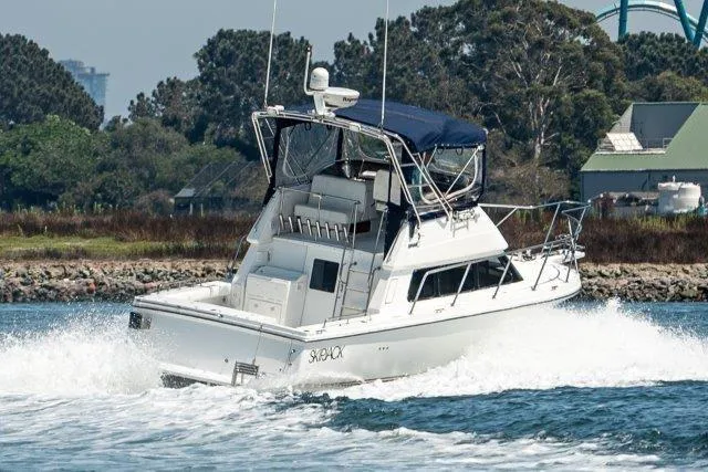 Slide: The Image of 2011 Skipjack 300 Flybridge cruising on water near shoreline. - 12