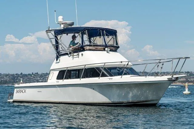 Slide: The Image of 2011 Skipjack 300 Flybridge boat cruising on calm waters under a clear sky. - 4