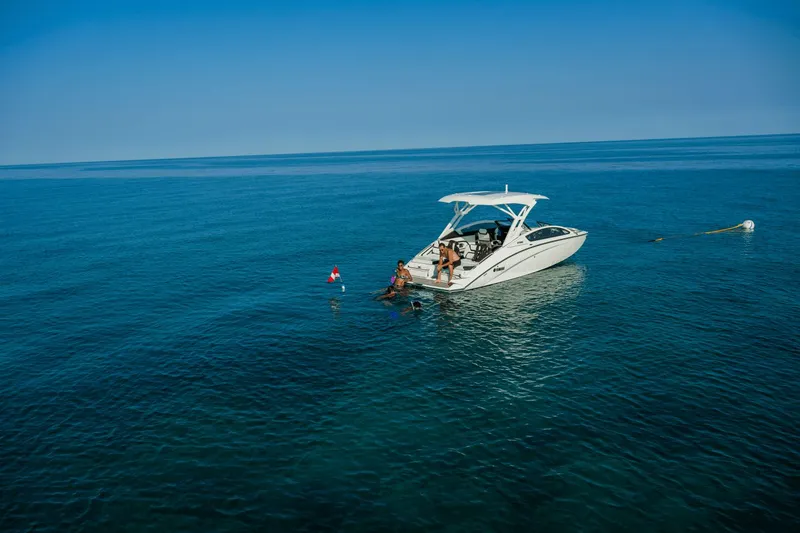 Slide: The Image of Yamaha 275SD 2026 - 8