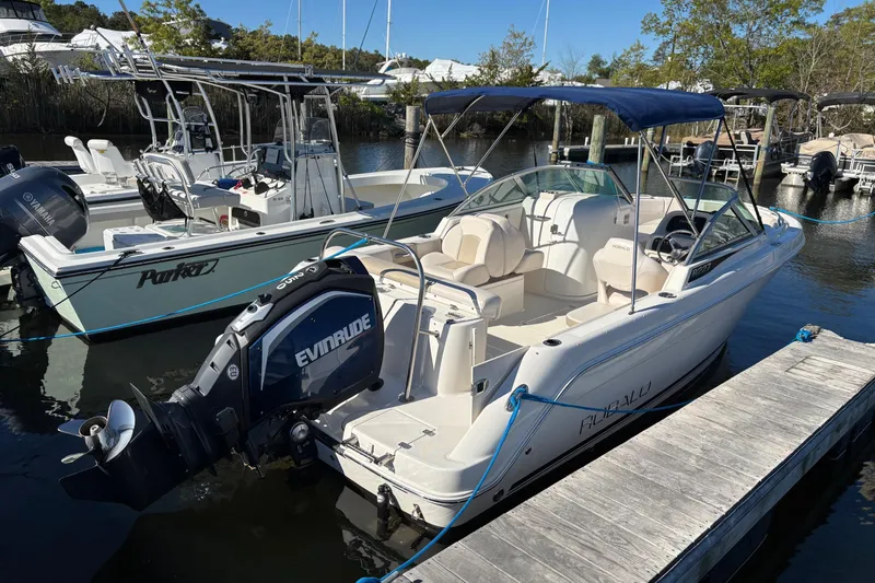 The Image of 2017 Robalo R227 Dual Console boat docked with Evinrude outboard motor. - 0