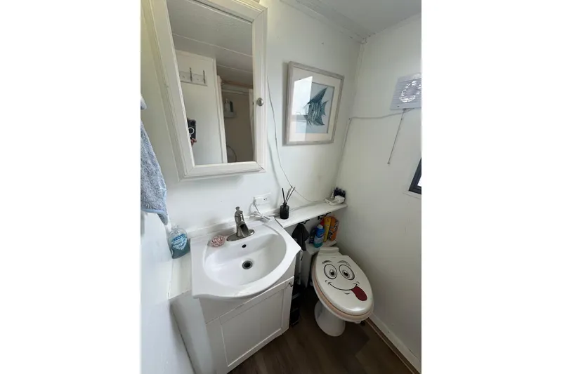 Slide: The Image of Bathroom in 1996 Catamaran Cruisers 12x42 with sink, mirror, and playful toilet seat design. - 11