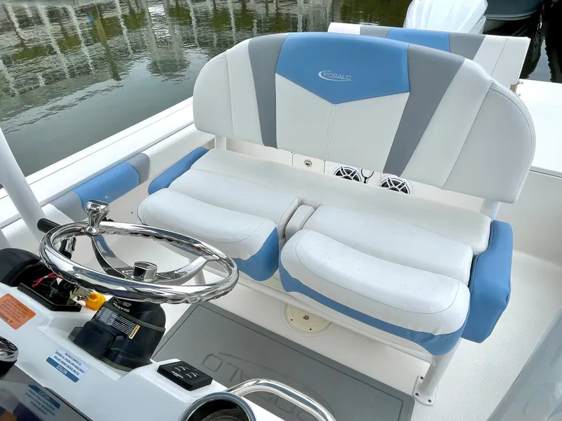 Slide: The Image of Robalo 246 Cayman 2022 - 20