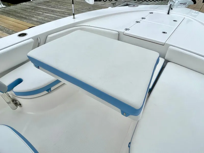 Slide: The Image of Robalo 246 Cayman 2022 - 36