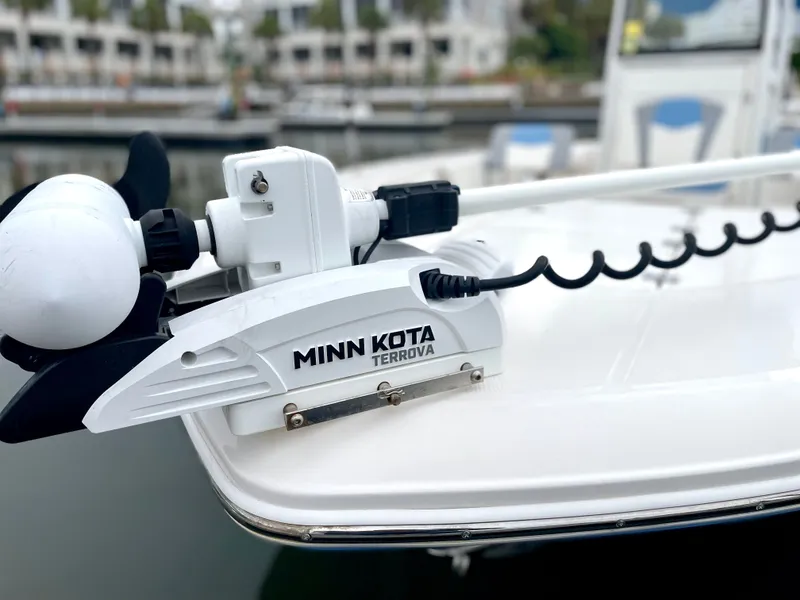 Slide: The Image of Robalo 246 Cayman 2022 - 56