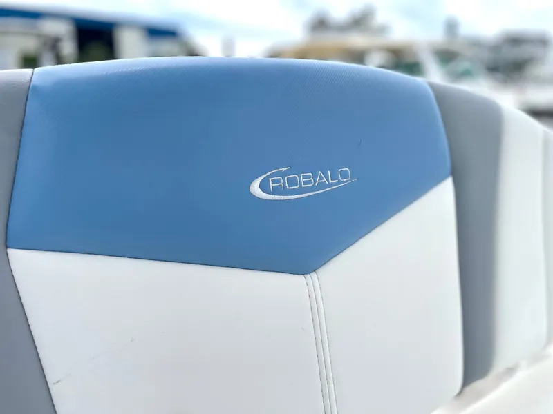 Slide: The Image of Robalo 246 Cayman 2022 - 65