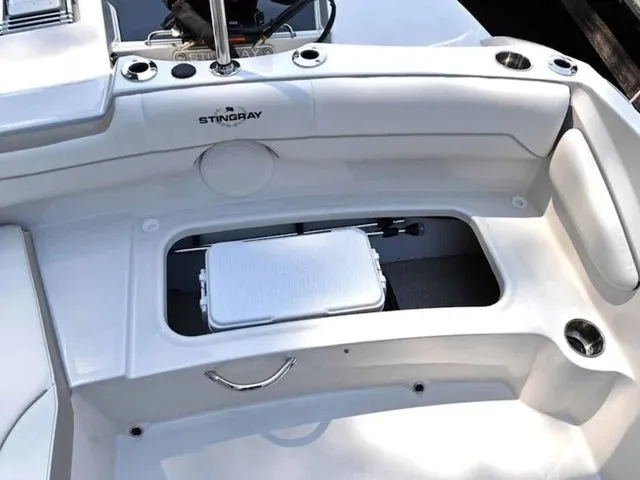 Slide: The Image of Stingray 191 DC 2026 - 21