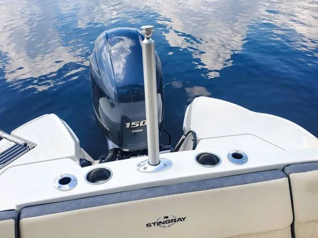 Slide: The Image of Stingray 211 DC 2026 - 11